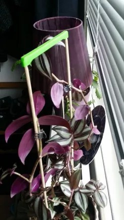 Flower stick support