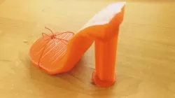 High Heel Shoe Model