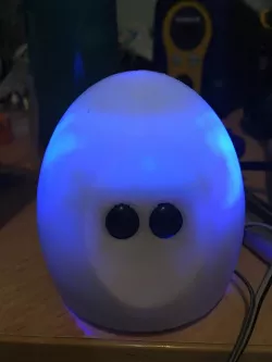 IoT Pet