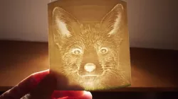 lithophane fox & baby scan
