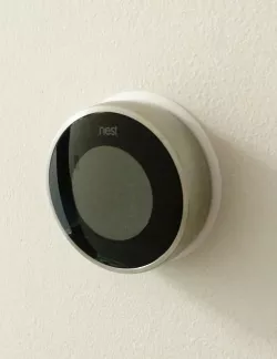Nest Bezel