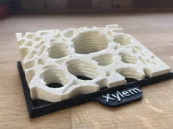 Plant Xylem Structure Model with frame