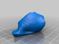 Sea Shell