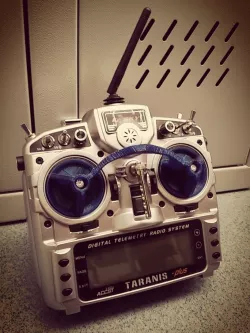Taranis stick protector