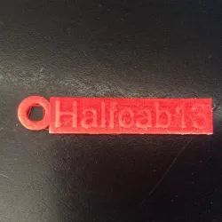 Halfcab13 keychain (plz sub)