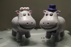 Hippo Bride and Groom