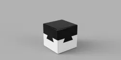 Impossible Dovetail Box 