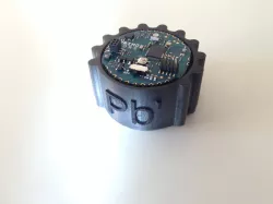 Leadfoot for Arduino Primo Core
