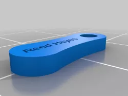 Reed Keychain