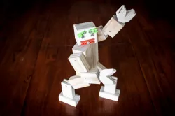 Robot
