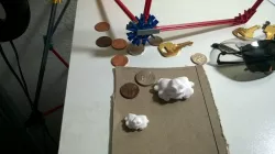 Toad