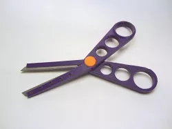 Wicked Sharp Scissors (with replaceable blades)
