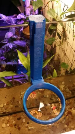 Aquarium feeding ring.