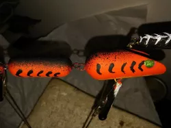 Bass oreno articulated 