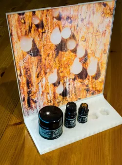 Bosswelia Sacra Essential oils exhibition stand