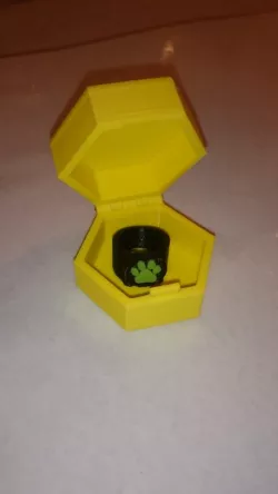 MIRACULOUS rings box