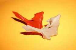origami scanned wolf