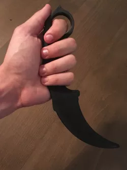 Training Karambit