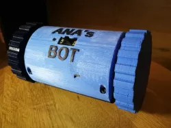 Two wheeled robot