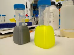 50 ml tube holder