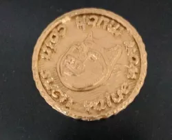 Dogecoin model