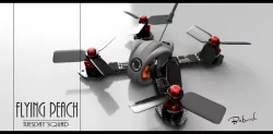 Flying Peach - Microswift Evolution