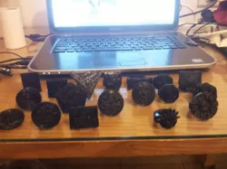 Larp rings
