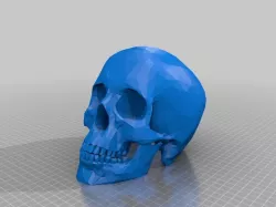 Left Kid Skull v2