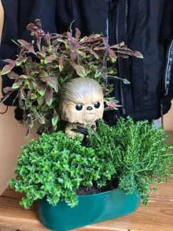 Pop-Figure Flower Pot