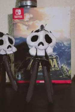 Zelda breath of the wild skull Display