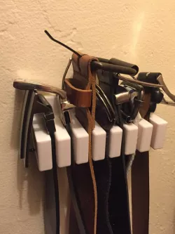 Belt Organizer