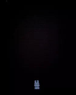 bunny thing