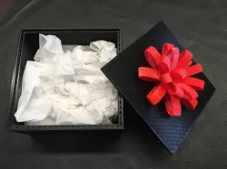 Gift Box with Bow