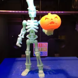 Glow-in-the-dark, poseable Skeleton w/ extras