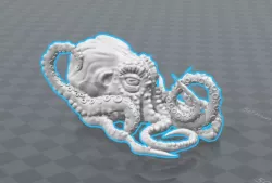 Nobby octopus