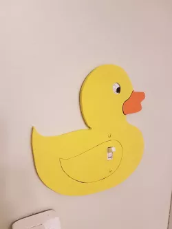 Rubber Duck Switch Plate