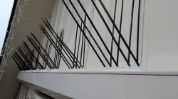 Spikey bird deterant