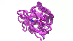 Subtilisin