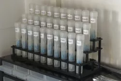 Test tube resistor storage rack