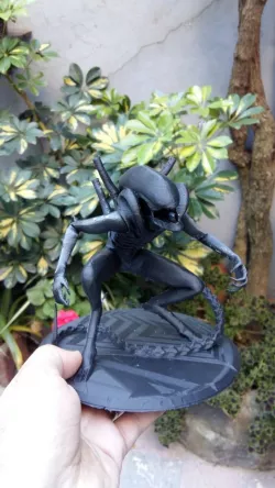 Xenomorph