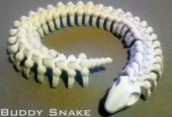 Buddy Snake