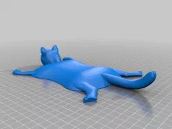 Cat TEAL cover