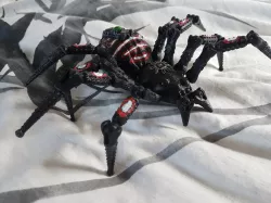 Cyber Spider