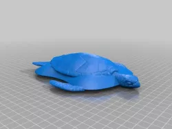 fastest turtle you'll ever meet.  Teal Sport™ Custom Top
