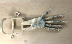 Moveable Skeleton Arm Extension