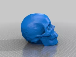 photogrammetry created skull - openMVG, openMVS, MeshLab, MeshMixer