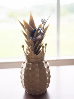 Pineapple with Crown