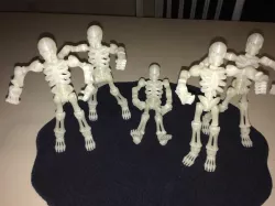 Posable Skeleton