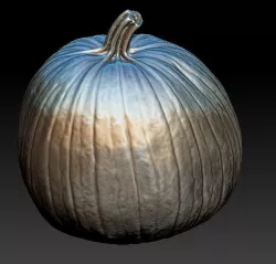Pumpkin 3D Scan