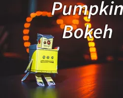Pumpkin Boken Lens Cover